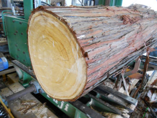 樹齢100年超えの桧丸太を製材しました