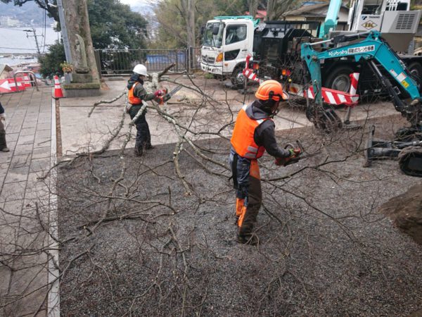 御殿場市枝おろし